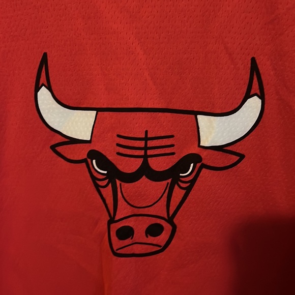 Chicago Bulls jersey - Picture 4 of 5